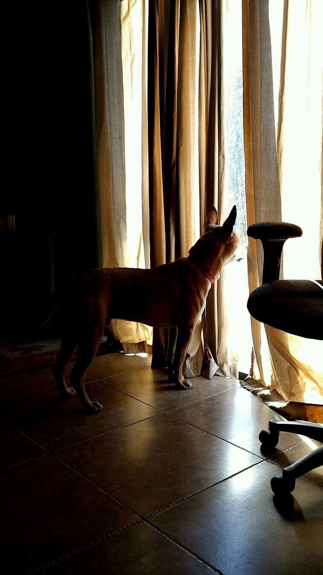 TobiSoCash69420's profile picture. 