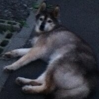 ゆーじ (@funamaya) 's Twitter Profile