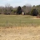 Chris Sutton - @benjonahfarm - Twitter