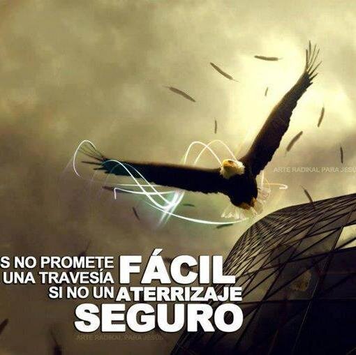 UsuarioColque's profile picture. 