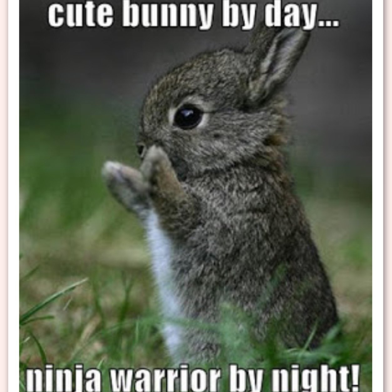 ZionInfu's profile picture. Xbl: GlOry InFuzion