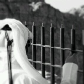 ....  عَبثتُ ب الحُبِ فضولاً، وليتنيّ لَم أفعٌل ..♡