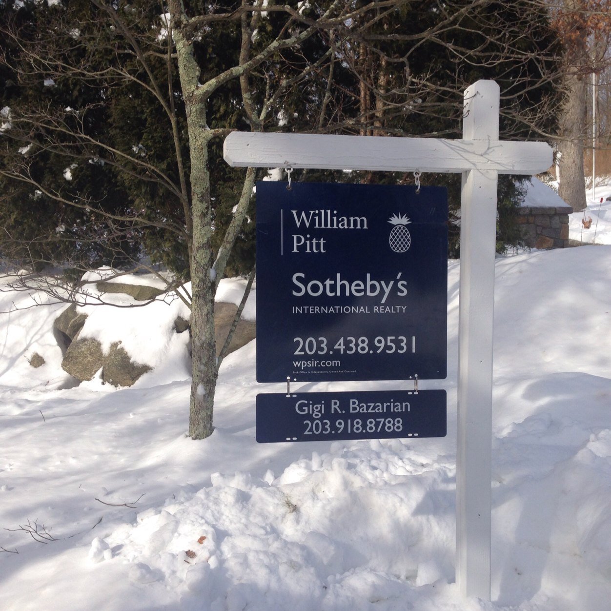 William Pitt Sotheby's International Realty 2013 Rising Star Award Winner