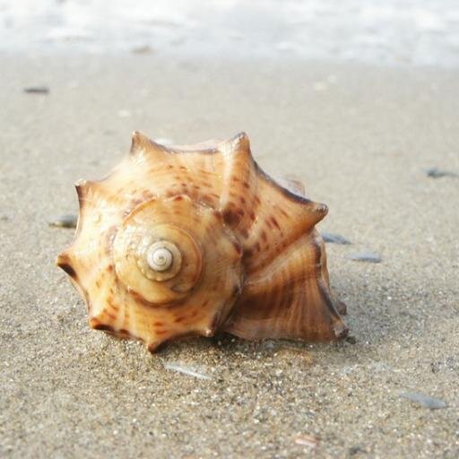 allugru's profile picture. Занимаемся подбором жилья в Анапе и на Юге. Да и вообще, подбираем туры, везде, где есть земля.