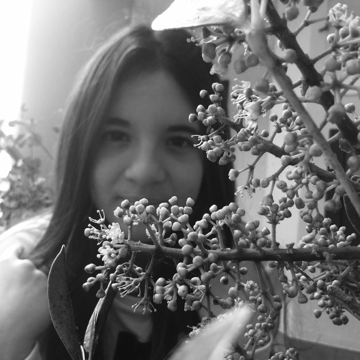 sou uma pessoa fixe