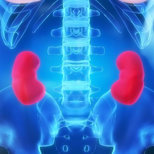 Tower Nephrology Medical Group, located in Los Angeles, CA, is a physician group specializing in Kidney disorders, Hypertension, and General Internal Medicine.