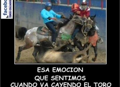 llano♥, coleo♞Ω, amor♥, musica, refranes, caña, sombrero y alpargatas todo esto sencillamente lo que quiero ♥ Ω