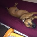 joseph hollenbeck - @twiterlessjoe2 - Twitter