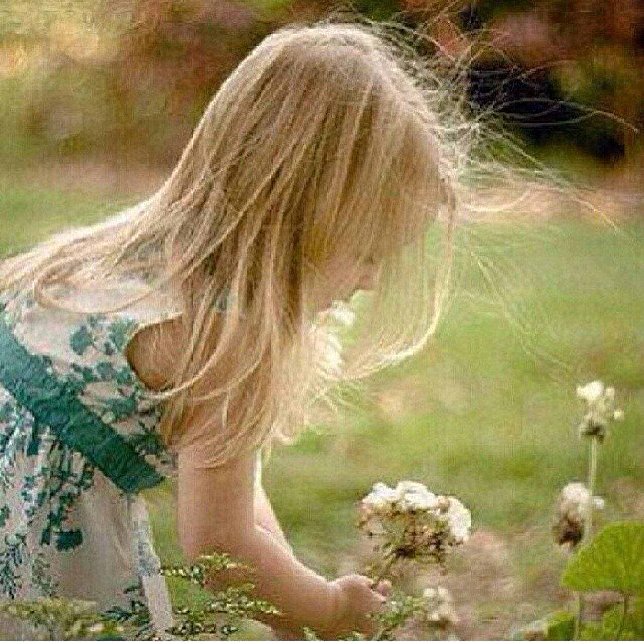 شيئان لاأنكرهما بساطة ذوقي وكرم متابعتكم لي فشكرا لكل من يتابعني❤️