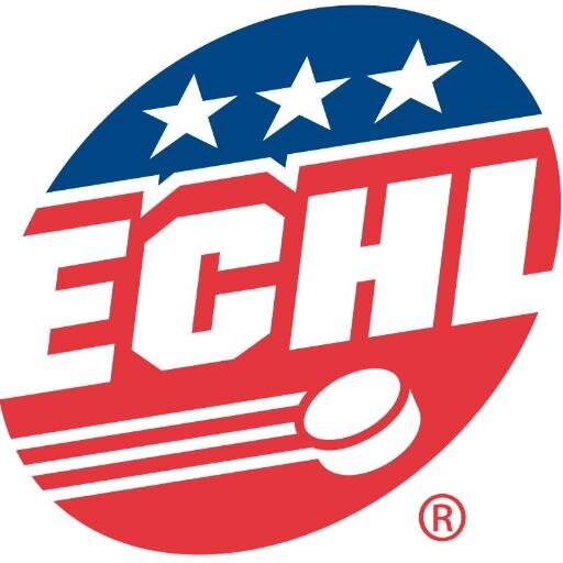 It's my job to help ECHL teams, not with my wrist shot, but by sharing successful business practices and sales strategies