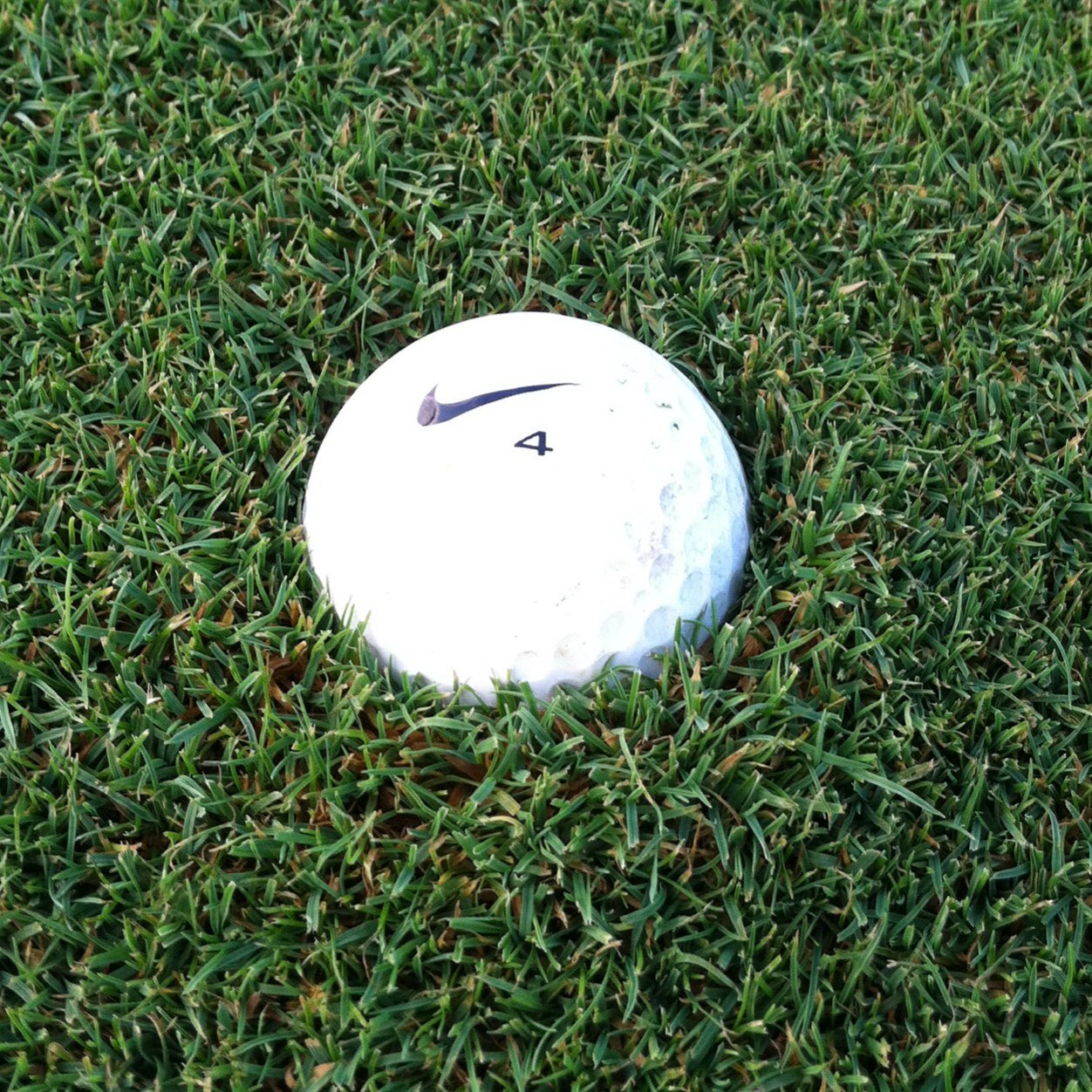 MrGolfGuy26's profile picture. Bringing you FREE golf picks/tips as well as some irrelevant information. Been  killing the golf game since '11. Questions?--alldaygolf26@gmail.com