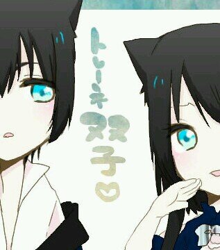 konome_tk's profile picture. 企画専用垢です。