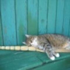 bornpronneuso's profile picture. Юлька Бажан в интернете.