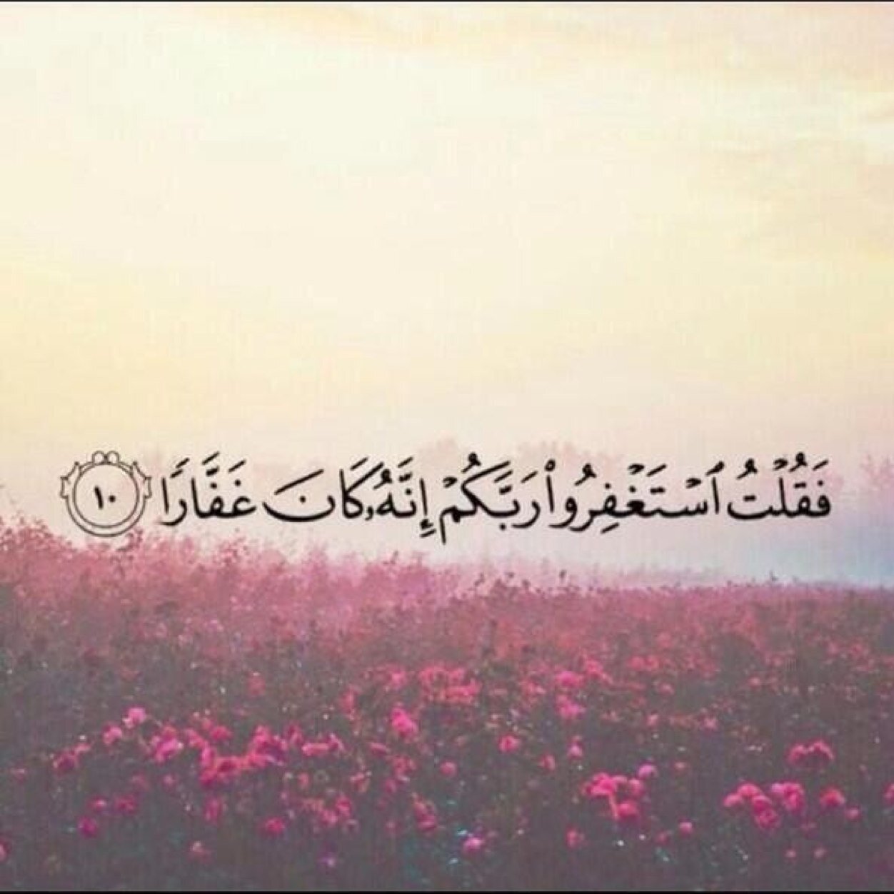 ‏ولأني أحبه ، أنشَأت هذا الحساب لعله يكون شفيعاً له يوم القيامة . لا اله الا الله ..