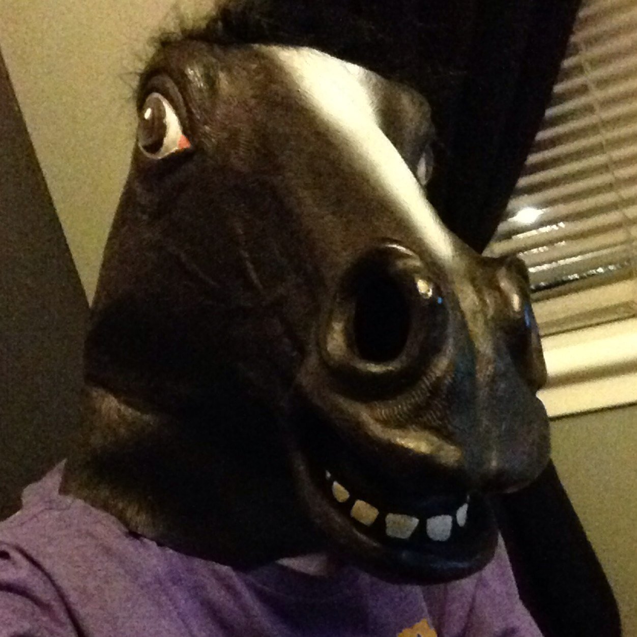 FOLLOW ME IM THE HORSE MAN