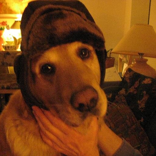 dog lover and canucks fan