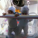 Marek Żuk - @mZukinho - Twitter