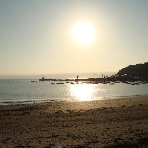 alplander's profile picture. 