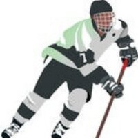 LigaSur Hockey Linea(@LigaSurHL) 's Twitter Profileg