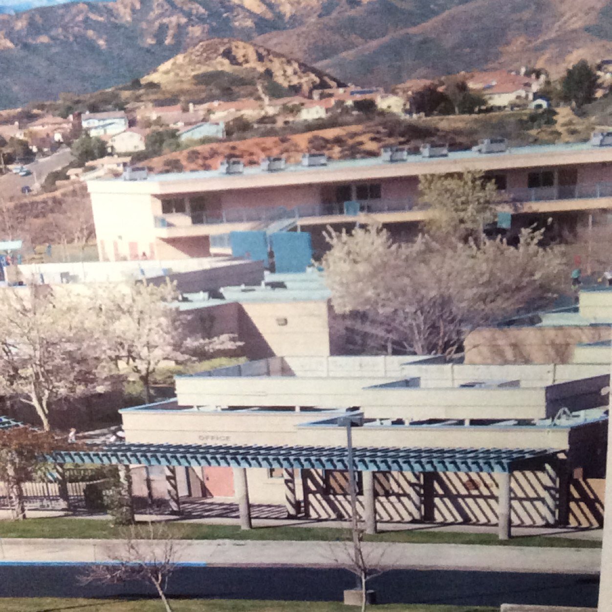 MountainviewSCV's profile picture. 