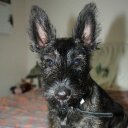 Jeff Brubaker - @brubakej1 - Twitter