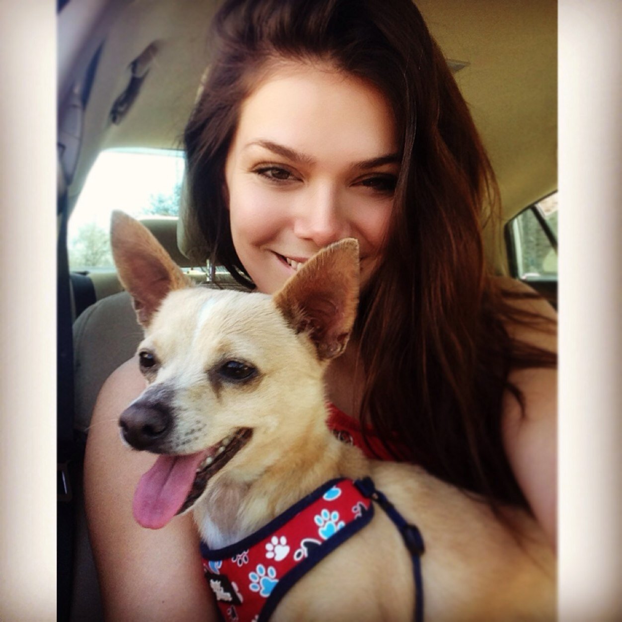 TrixieLRichter's profile picture. Pisces. @Uflorida pr senior. LA bound. I've got big plans.