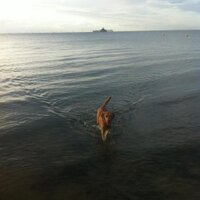 Charlotte Frorath (@cfrorath) 's Twitter Profile