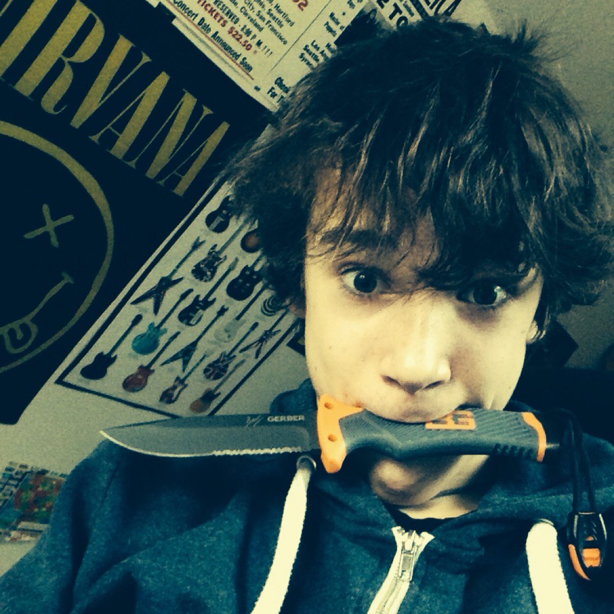 hi im 14 and im frome denmark and if you follow me you will become a UNICORN and all your whishes will become true .......... i follow back 100%