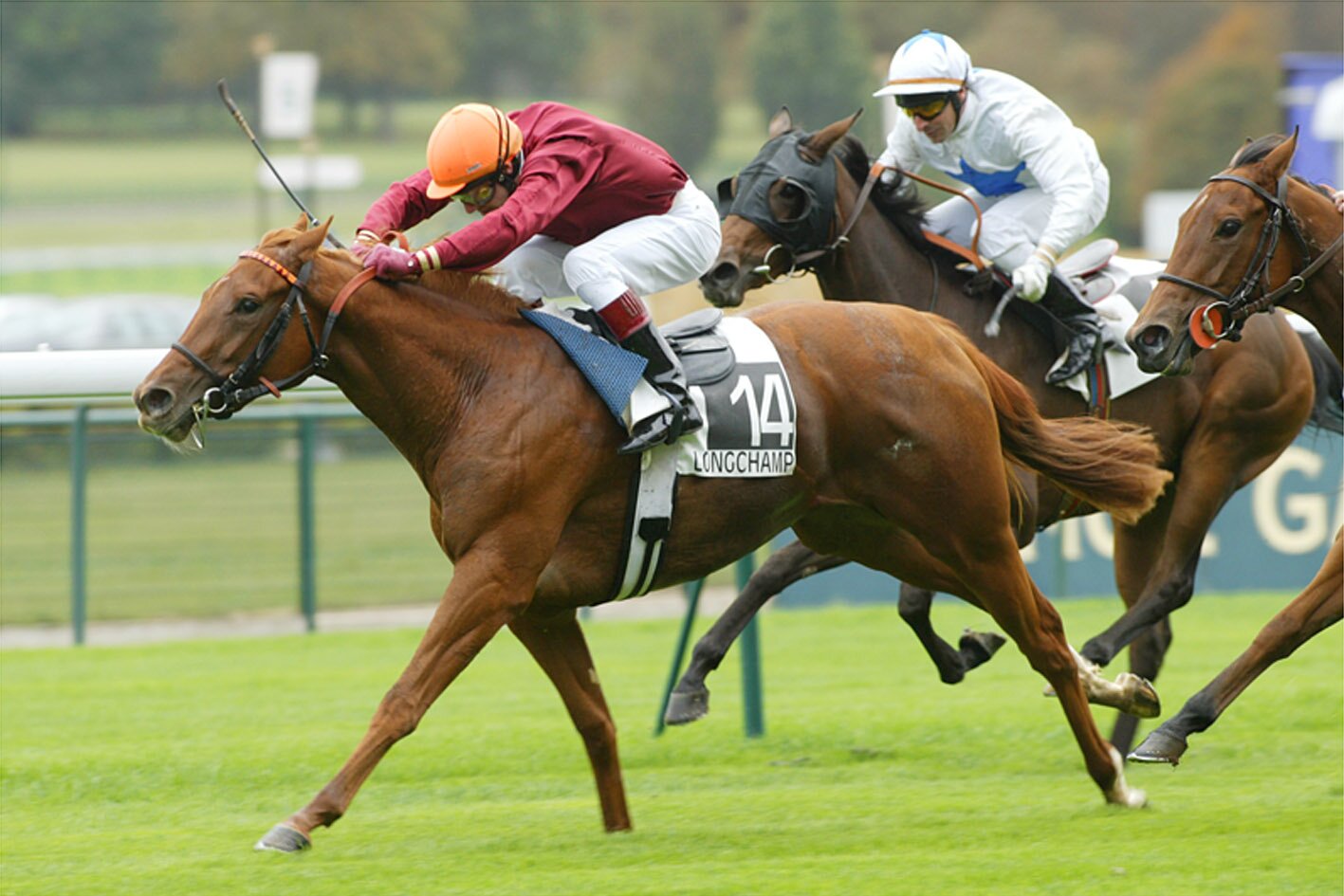UK Horse Racing Info, Tips and News. The best source of racing info you'll find on Twitter. And we follow back too!.Follow us and start backing more winners!
