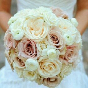 new account @Meemalfarsi6
