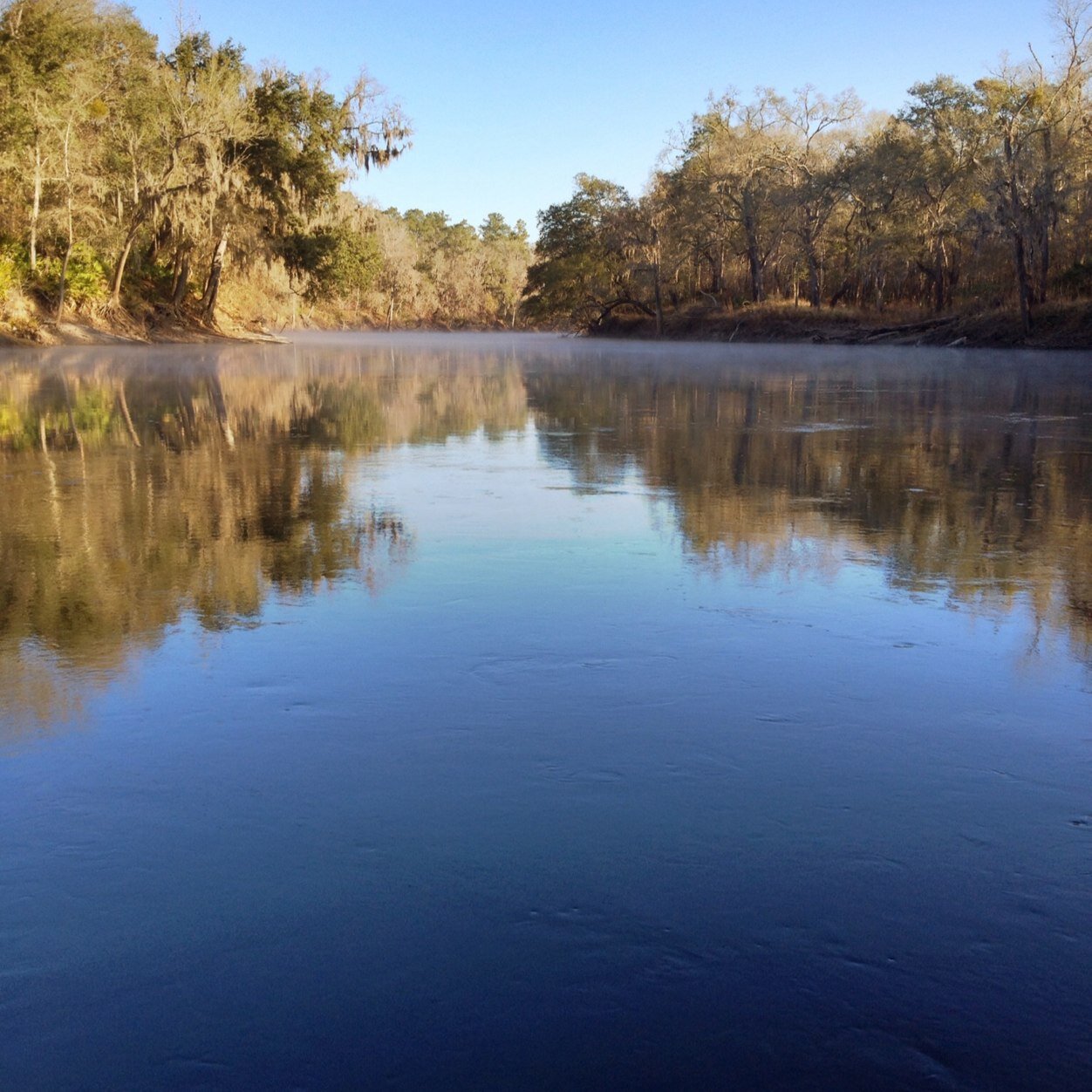 apgamecock's profile picture. Gamecock Alum, soccer fan