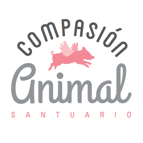 ONG. Refugio para animales considerados de granja. Luchamos por un cambio social basado en el respeto y la empatía hacia el resto de animales.