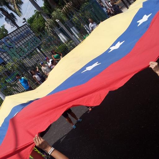 Viva Venezuela Libre