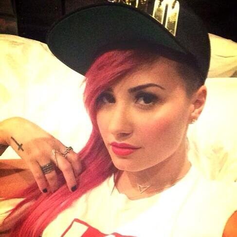 21 years old, 4 albums, 4 movies, 4 tv shows, 1 book, 89 awards, 1 documentary, 1 girl, 1 story, 1 inspiration,1 hero,1 name, DEMI LOVATO!