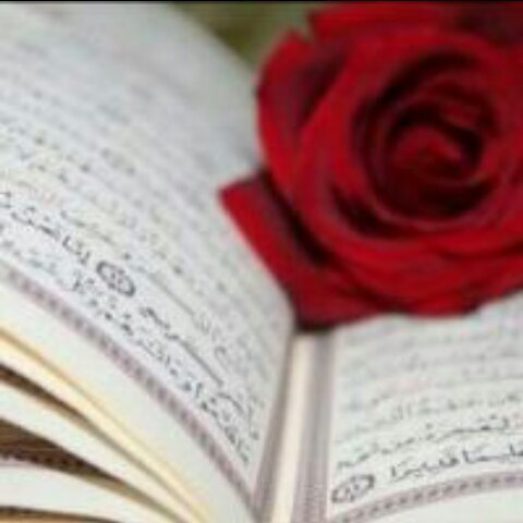 (القرآن حياة) الخاص ممنوع على أبناء آدم