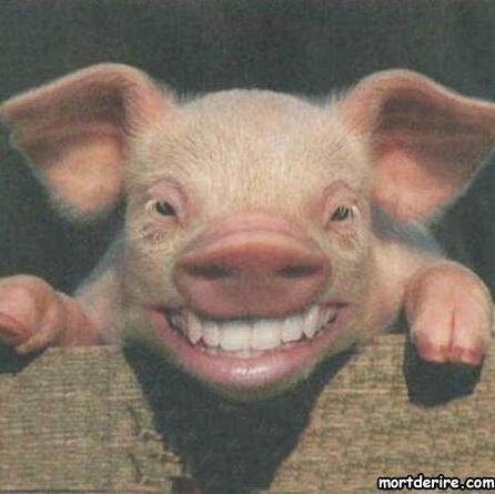 hectordrd's profile picture. 