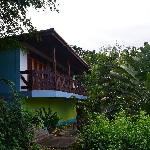 Hummingbird Inn, where Nature stays Alive!