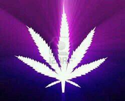 REALG4LIFEMAI's profile picture. 