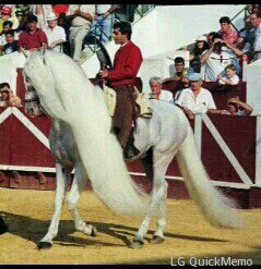 Almonte(Huelva)