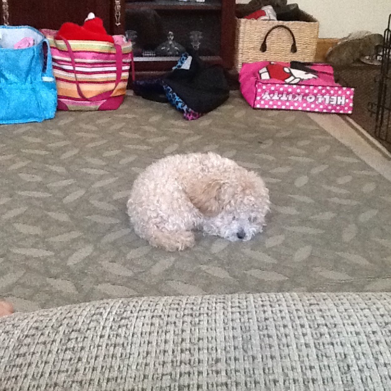 laurenmariespro's profile picture. 