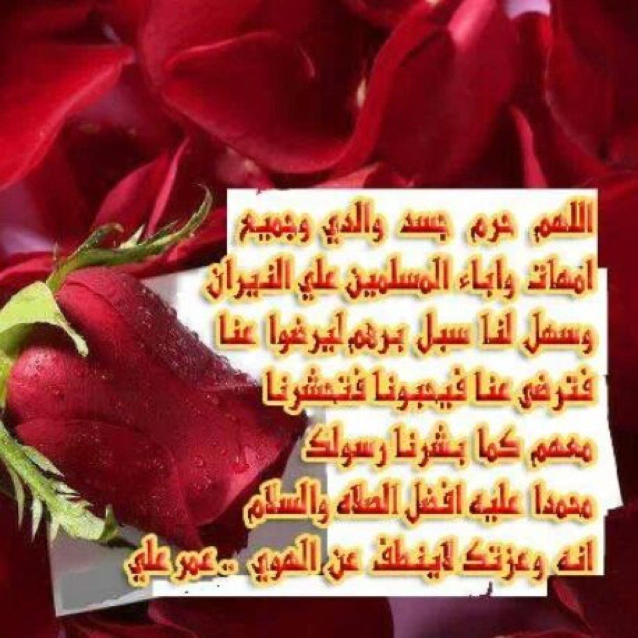 algory1224's profile picture. 