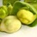 live peasfully (@eatinpeas) Twitter profile photo