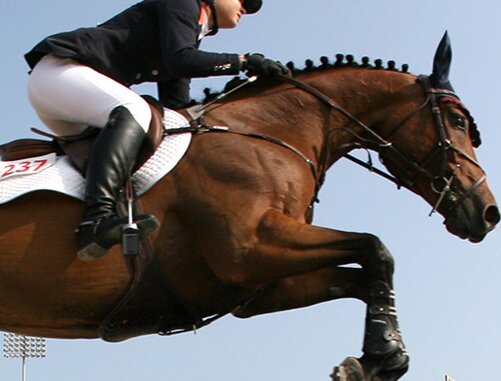 USJumpingHP's profile picture. The SJHP Department oversees Selection Trials, Rolex/USEF Show Jumping Ranking List, World Cup Points, and the Platinum Performance/USEF Talent Search Program.