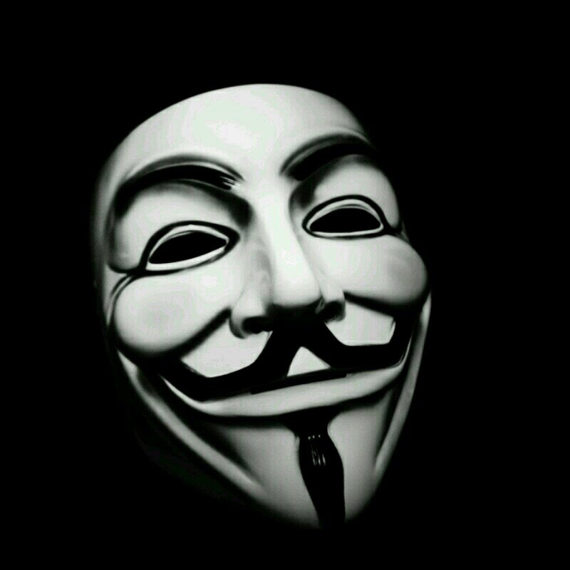 seini100's profile picture. 