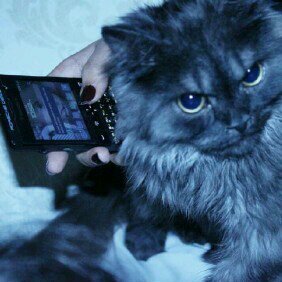 -آحبه- إلى مابعد الأبد♥.