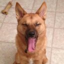 Stephen Lee - @stephenjlee11 - Twitter