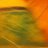 fimmgmarche's profile image