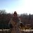 Isabel_ML92's profile image