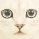 Nilda Mora - @NildaMv - Twitter