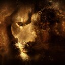 fausto leon - @faustoleon6 - Twitter